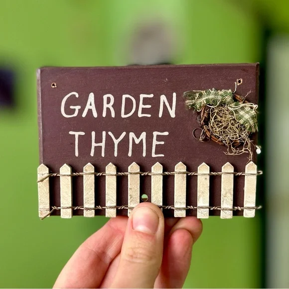 Mini Chic Cottagecore Thyme Garden Lovers Kitchen Cute Herb Home Decor Accent - Picture 5 of 5